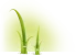 Symfony Twig Twig Logo
